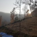 풍년염소농장 이미지