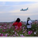 하늘정원2 이미지