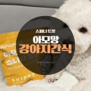 아모망 초소형 노즈워크 강아지 간식 스피니 트릿 급여 후기