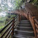 포천 한탄강 Y형 출렁다리 이미지