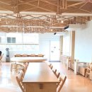 동화목장 | 제주 송당 카페 동화마을 속 성이시돌목장 아이스크림 미스터밀크