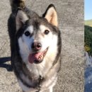 천지회관 이미지