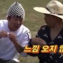 미디어29 네이버블로그