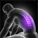 수원-1549 이미지