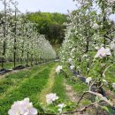 인선농장 이미지