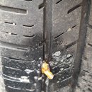 더타이어샵정림점 이미지