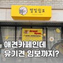 별빛쉼표 이미지