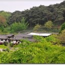 아라메길(1) 이미지