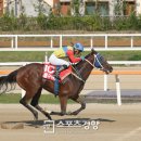 청수파크 이미지