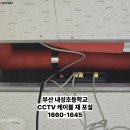 내성초등학교 이미지