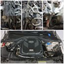 곰식이카 이미지