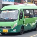 세성교통 이미지