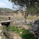 대전축사 이미지