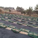 요한이네농장 이미지