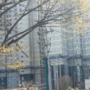 튼튼공인중개사사무소 네이버블로그