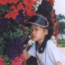 윤희유치원 이미지