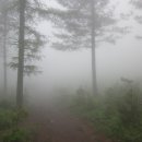 둘레목장 이미지