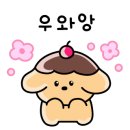 코코 반려견미용실 이미지