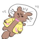 개빵집 이미지