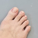 광화문네일 잘하는 곳, 올리브네일에서 젤패디 받고 온 후기