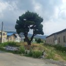 대흥부동산공인중개사사무소 이미지