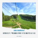 용평 가볼만한곳 용평리조트 액티비티 평창 루지 마운틴코스터 후기