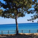 베니키아호텔 산과바다 속초 이미지