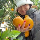 카페힐(CAFE HEAL) 이미지