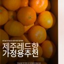 영원농장 | 제주 레드향 가정용 택배 10kg 선물 찐 추천, 으뇽이네 농장