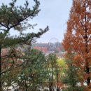 홈브리지 캐빈호스텔 이미지