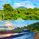 제40회 대야문화제 | <블로그챌린지 #포토덤프챌린지> "2024 합천 가을 행사 및 축제 안내" &amp; "추석명절 전에 산소 벌초와...