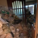 마스터클린 이미지