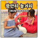 찌꼬뽀꼬 광안펫스테이션점 | 부산가볼만한곳 광안리 아이랑 실내 부산놀거리 애니멀카페 피피피