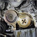 보라카센타 이미지