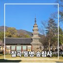 동명 | 대구 근교 사찰 동명 팔공산 송림사 천년고찰 후기