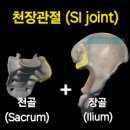 팔골천 네이버블로그
