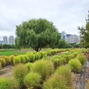 10월에 걸었듯 다음 달에도 이미지