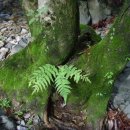 유성농원 이미지