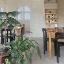 세븐일레븐 마산석전향기점 | 250906 창원NC파크 기아vsNC후기_ 테이블석 !!