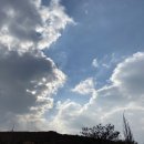 (주)한솔조경 이미지