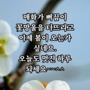 939 이미지