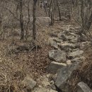 동시+칼림바 리듬타기 | 영남알프스 태극종주: 54.2km, 자신 한계를 넘어선 찬란한 레이스