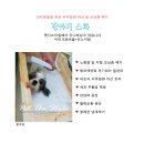 펫더스타일 이미지