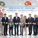 용평4길 이미지