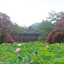 진주 용호정원 이미지