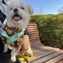 왕방떡방앗간 | #02. 세상이 날 억까하길래 끄적여본 두 달 밀린 블로그