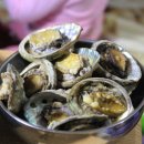 서귀포자연휴양림야영장 이미지