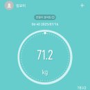 알뜰뜨개방 | (DAILY) 7월-8월 일기 몰아쓰기. 남은 2025년은 부지런 할거야 ≽^• ˕ • ྀི≼