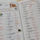 초급필수 영단어 암기 이미지