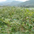 한동농장 이미지